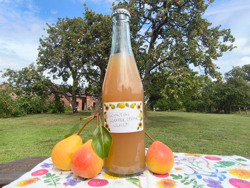 Walton Weeper Juice