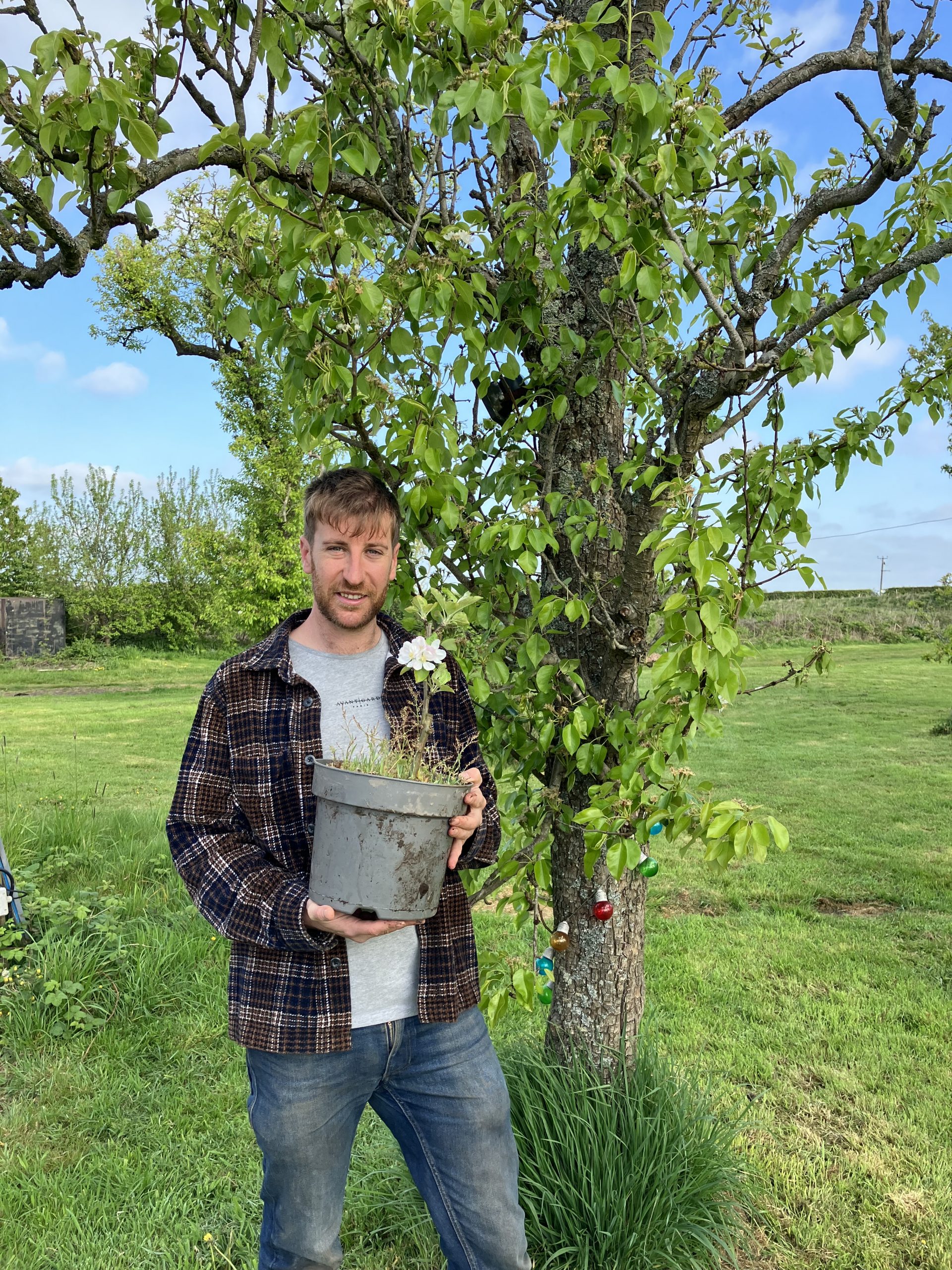 Liam Campbell - Cocker Bar Orchard. Apple and pear expert.